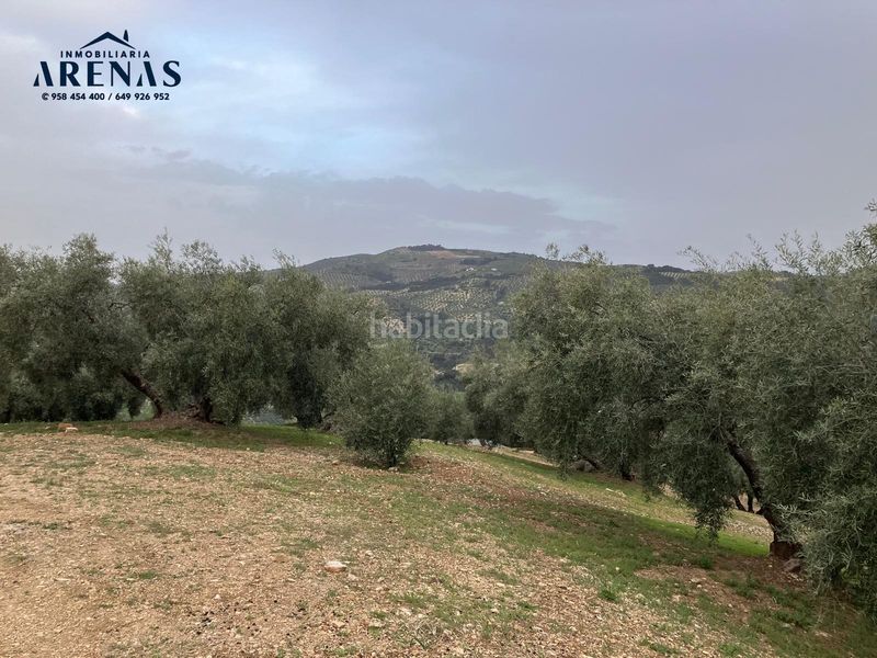 Foto 8458ea9a-9bdd-4347-87f0-4800581f4920. Finca rústica a Íllora