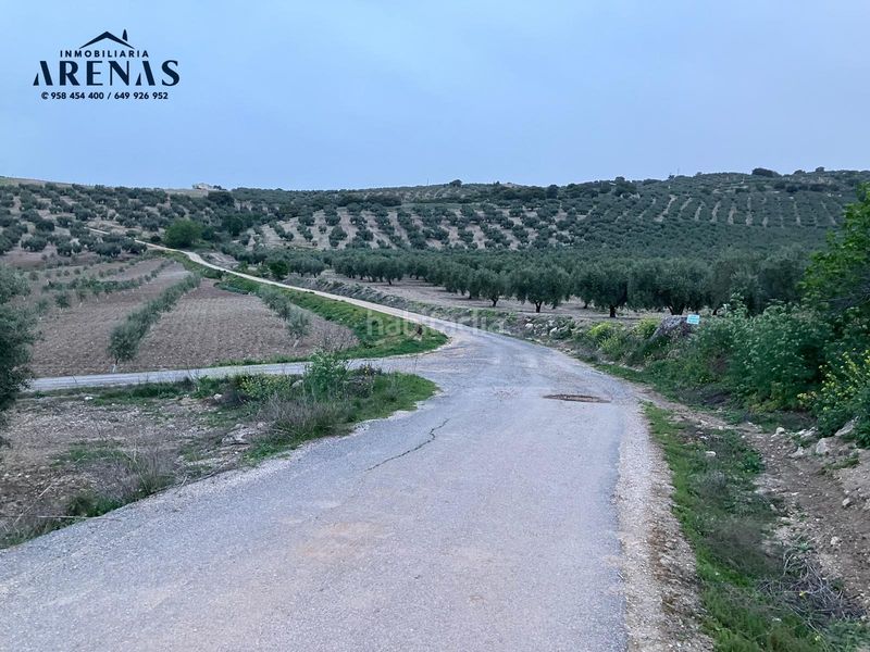 Foto ad90e59b-0d53-42ec-b571-fdecbc7b2e38. Finca rústica a Íllora