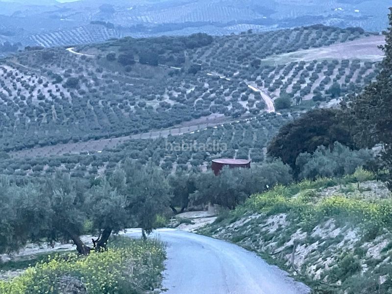 Foto ba5c9bbc-d907-4a99-8088-ecc82e7d396f. Finca rústica a Íllora