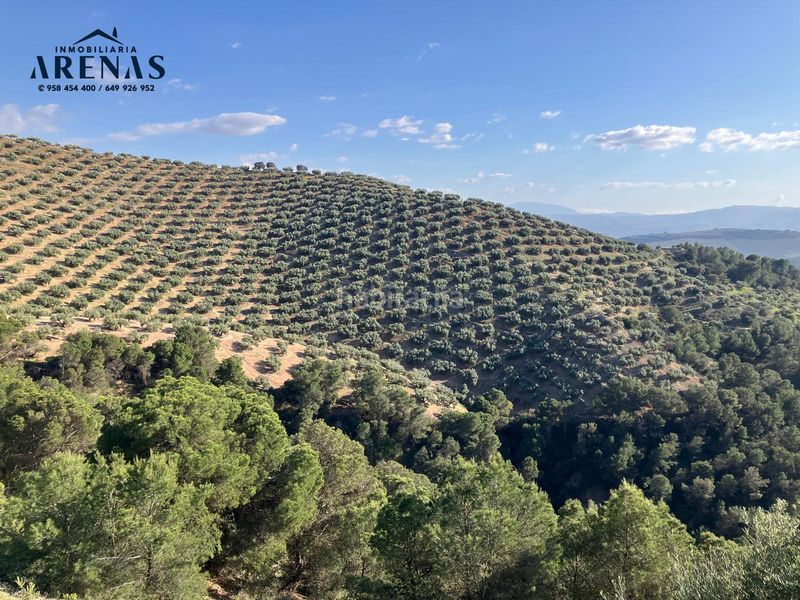 Foto d8432abf-d27b-4182-8d11-b689b9b12699. Finca rústica a Íllora