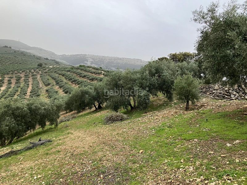 Foto f5b7d436-9bc9-4d32-a5a4-dac0169462a3. Finca rústica a Íllora