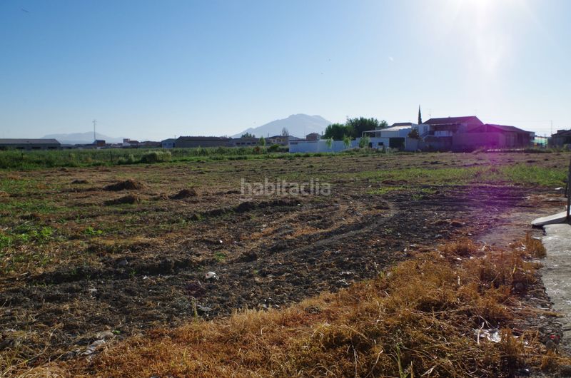 Foto c0568e23-e4d6-41da-8399-c69fa54a0cf5. Finca rústica a Fuente Vaqueros