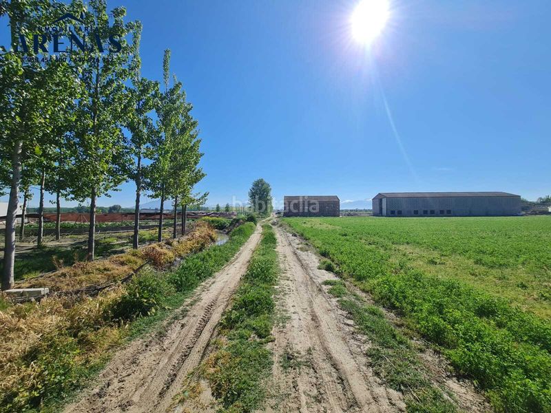 Foto b8dcc794-4837-43ac-9cbb-0cc31f02c143. Finca rústica a Cijuela