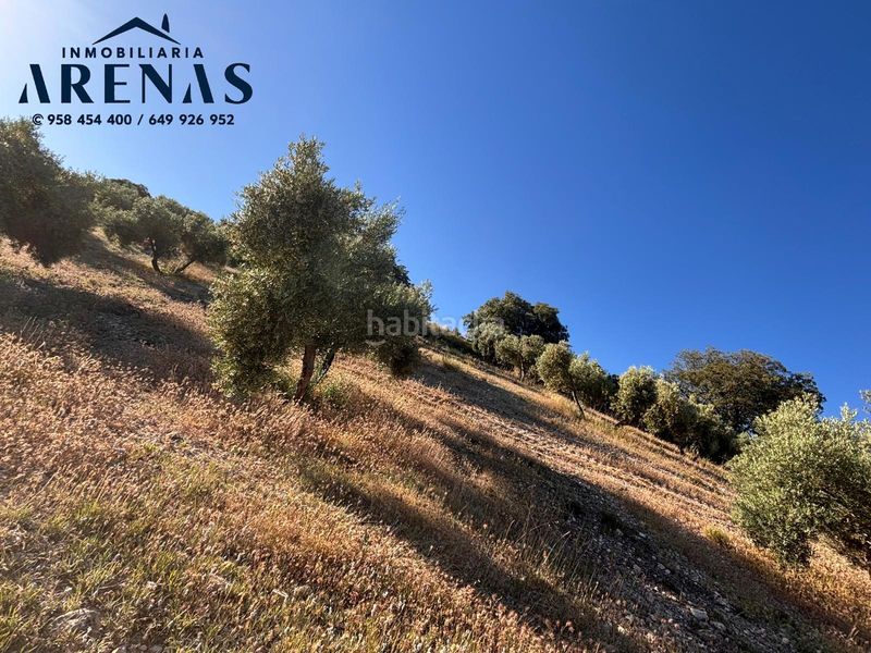 Foto bd5b4b7d-5961-447b-b3bf-f8eecc2851e3. Finca rústica a Íllora