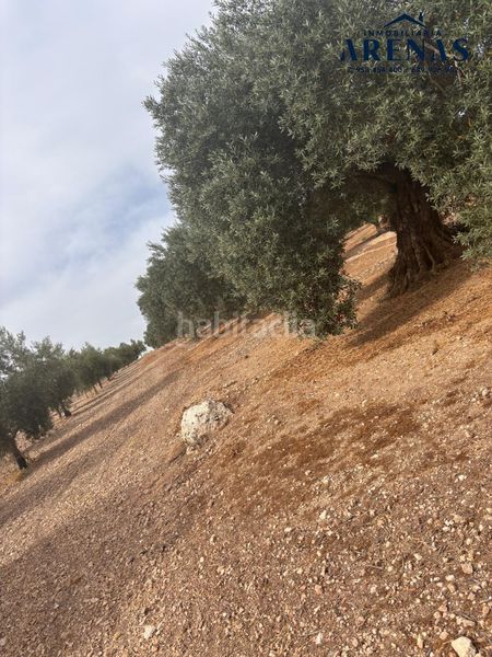 Foto b795e483-2a75-4cf4-ab8a-8182386a4734. Finca rústica a Íllora