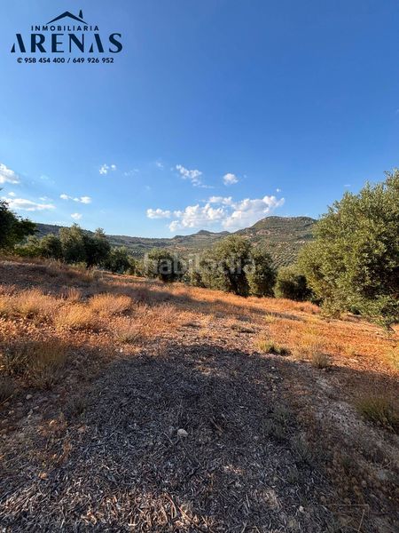 Foto 1f3cb1e6-7a79-4e36-a030-f900a4142831. Finca rústica a Íllora