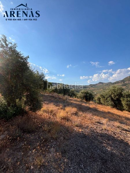 Foto 900ee618-7788-4f92-bdd7-75ca2aa3ad54. Finca rústica a Íllora