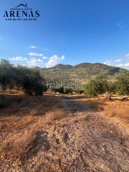 Foto ba65802d-d14b-4cf5-8999-abfa0ded28d0. Finca rústica a Íllora