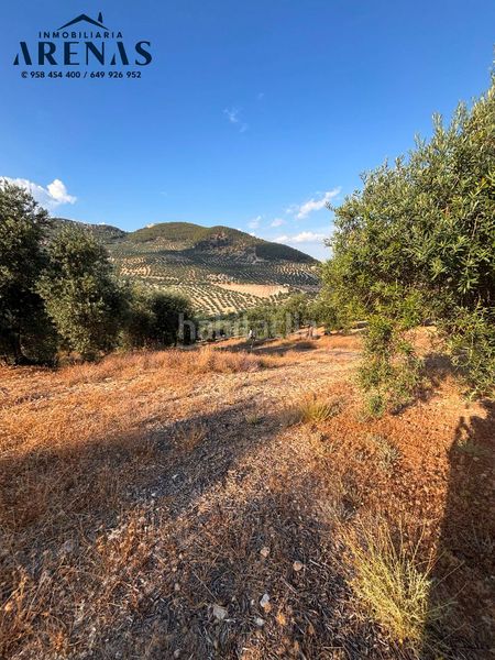 Foto be278280-4b34-4c44-8201-dae75f589457. Finca rústica a Íllora