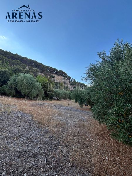 Foto 188d5a31-d305-4fe3-80e4-0ae84fc2fa96. Finca rústica a Íllora