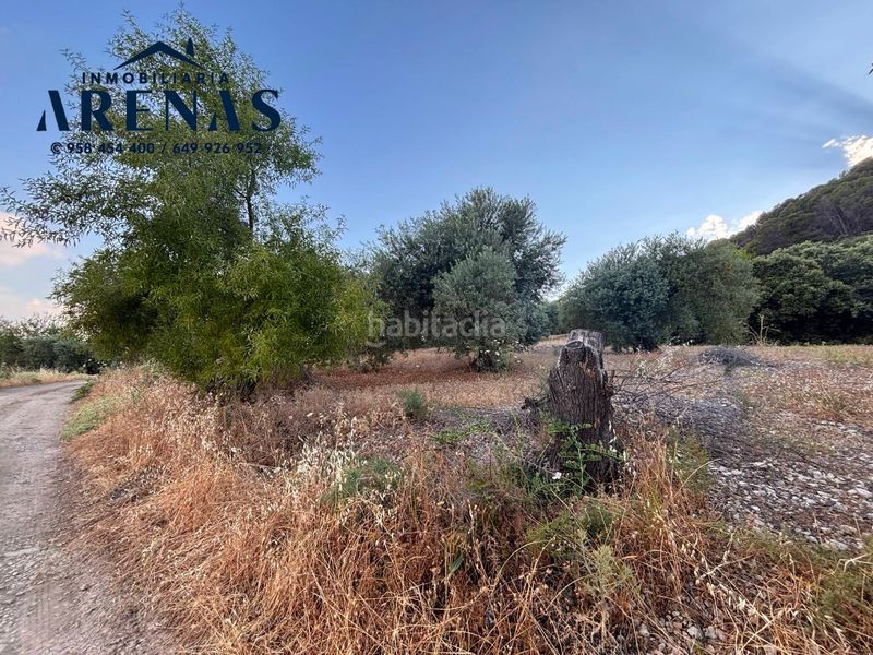 Foto 37d94e33-e385-46f2-88f2-a8e93d562f7b. Finca rústica a Íllora