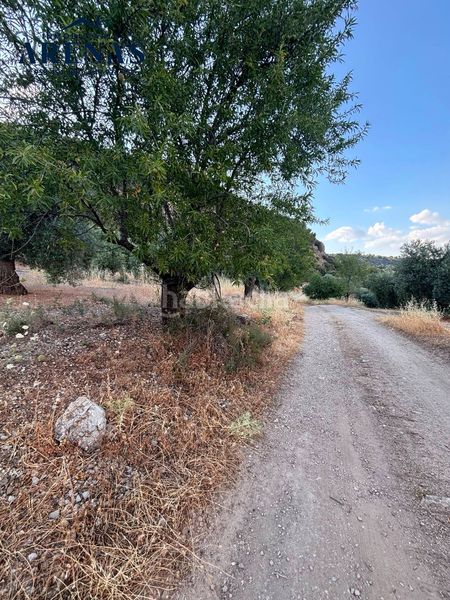 Foto 70cb27b5-8c2e-44eb-98fc-5112e073f6bd. Finca rústica a Íllora