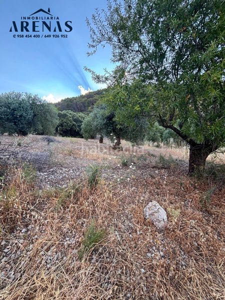 Foto 81fa868d-9741-4094-a00e-1dd7237668f5. Finca rústica a Íllora