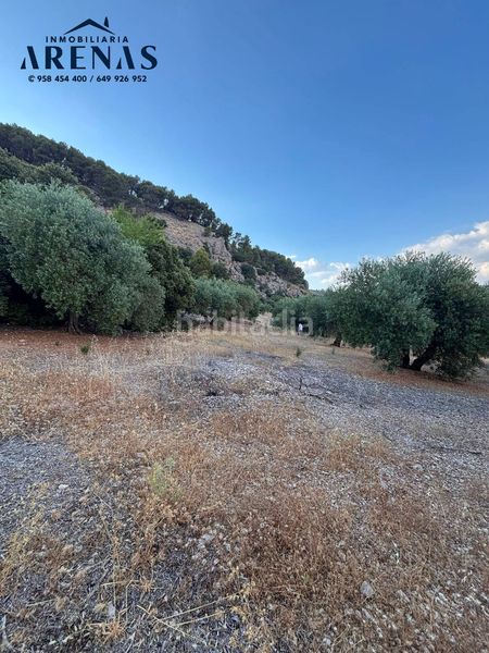 Foto a36098a4-0f28-420f-8825-9af026ef8144. Finca rústica a Íllora