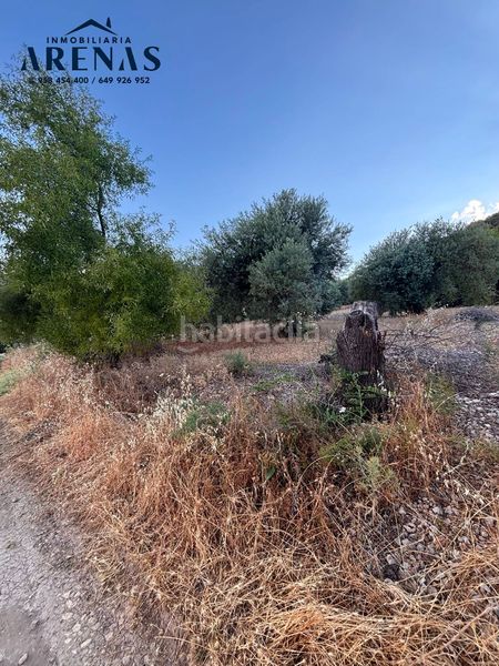 Foto aa927891-f89e-4a51-89ae-8c70cf956f48. Finca rústica a Íllora
