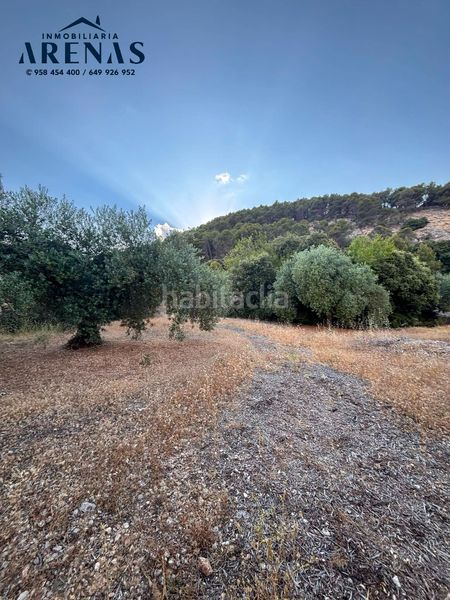 Foto c256e200-f93e-443a-9e94-ba7b76b00033. Finca rústica a Íllora
