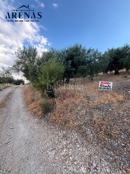 Foto f5dc83a5-3e01-46b5-bd03-82568b05f4d1. Finca rústica a Íllora