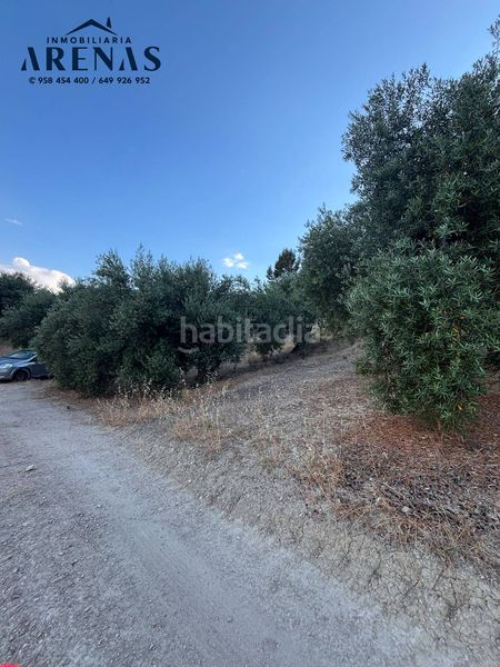 Foto f61c939b-a802-49d4-bd5f-72c2023056f4. Finca rústica a Íllora