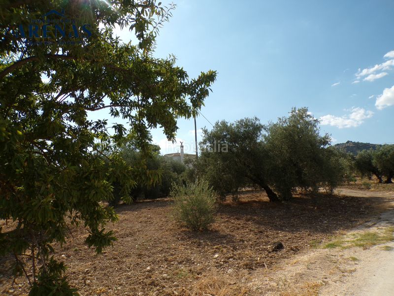 Foto c58ba619-528e-49d0-be77-d53ae32c2565. Finca rústica a Loja