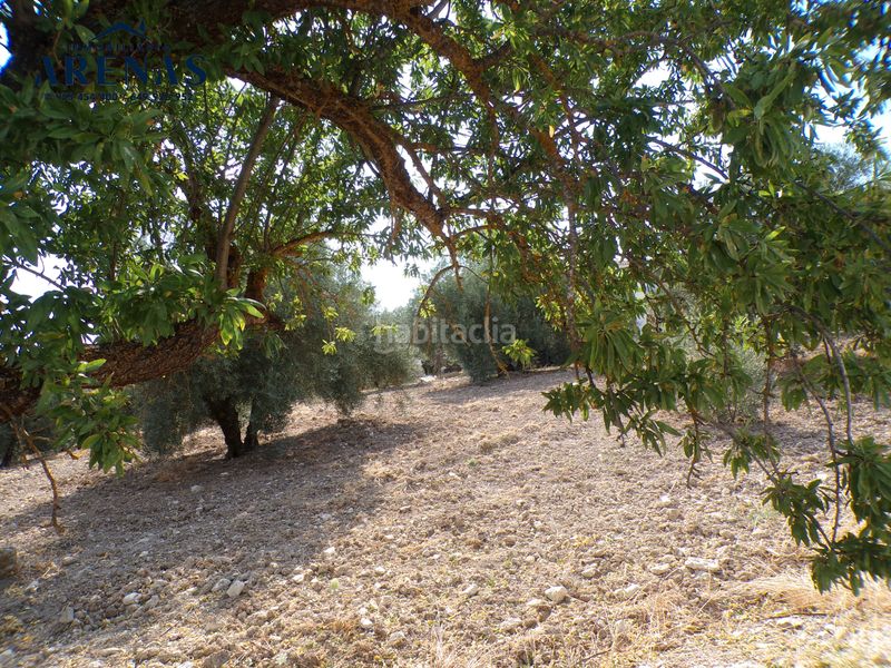 Foto d4dc9922-f7ff-4492-ab81-a2efe91d4ea8. Finca rústica a Loja