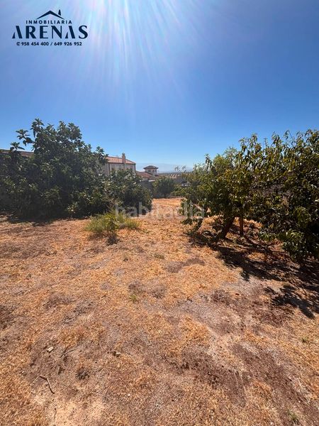 Foto 1c3cb7ab-16f0-47e2-a6e2-4d272f354fab. Terreny residencial a Íllora