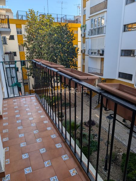 Foto f83610b5-92e0-4f78-8ceb-2a35cd64699c. Pis a calle torneo 57 a San Vicente Sevilla