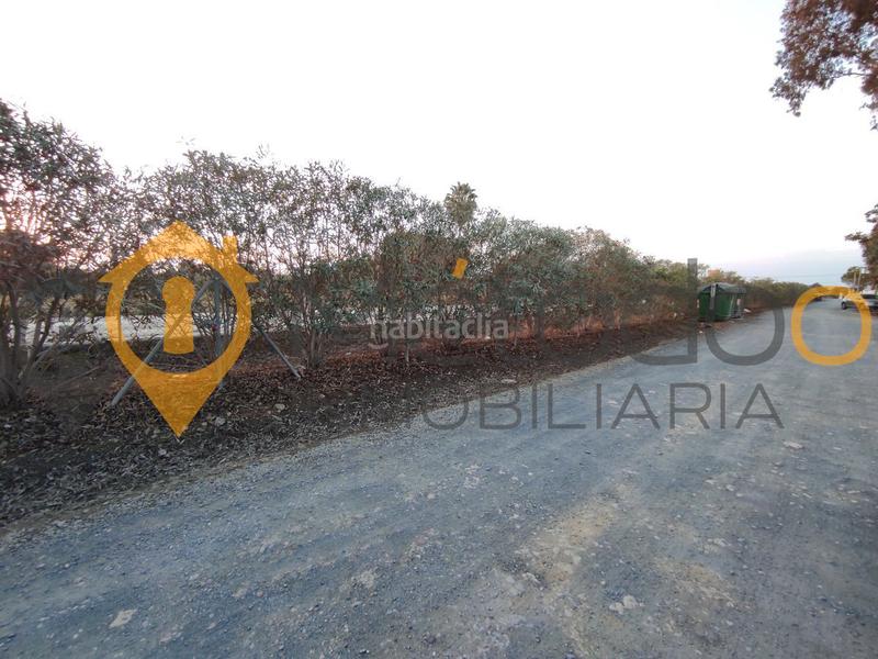 Foto 1bf8c6c5-3a7f-4874-a8be-9a853b9d05c2. Chalet con camino parcheggio piscina in Carmona