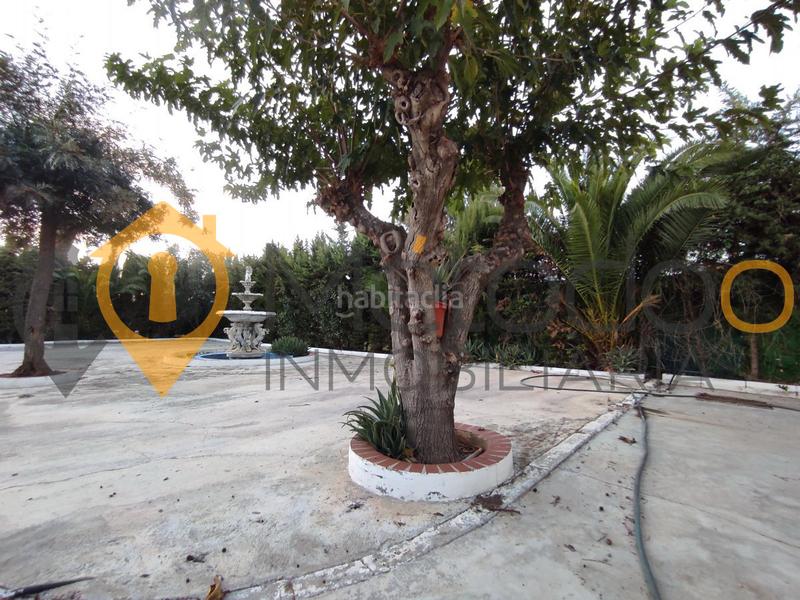 Foto 30161182-7757-4d1c-a8ee-0e3dba2abb3f. Chalet con camino parcheggio piscina in Carmona