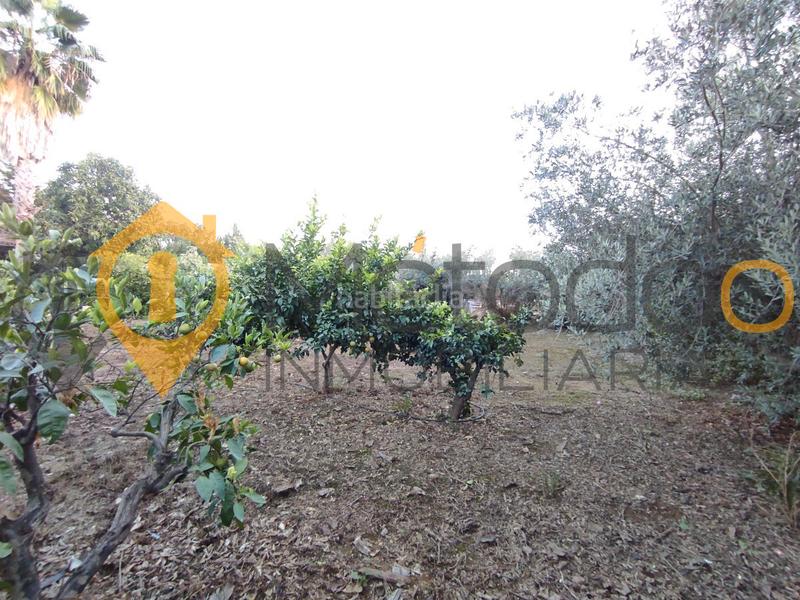 Foto 56a1a357-f2df-449b-ace3-8d5fd2cae340. Chalet con camino parcheggio piscina in Carmona