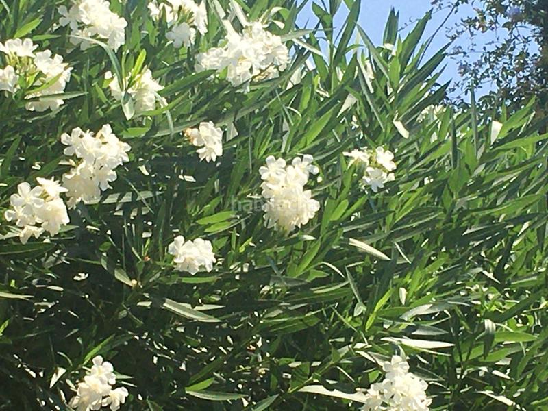 Foto 2c8b86ce-7eba-48ce-899c-8e8dc0528a79. Chalet mit heizung parking in El Zaudín - Club de Golf Bormujos