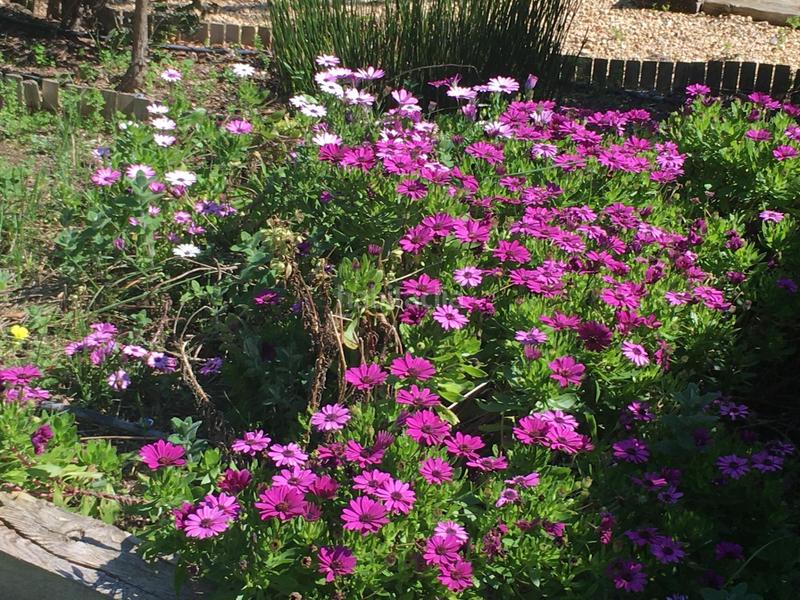 Foto d58eb761-55b7-4d9d-a00c-8dd4d2d19f4a. Chalet mit heizung parking in El Zaudín - Club de Golf Bormujos