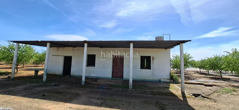 Foto a54393db-a44c-4fde-b872-aa583d3505c8. Finca rústica a Pedanías Sur Utrera