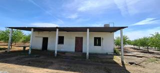 Propriété  Polígono polígono 85 paraje 534 mataburras. Finca rústica en utrera  25.757 m con almendros