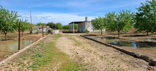 Propriété  Polígono polígono 85 paraje 534 mataburras. Finca rústica en utrera  25.757 m2 con almendros