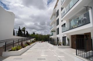 Flat in Centro