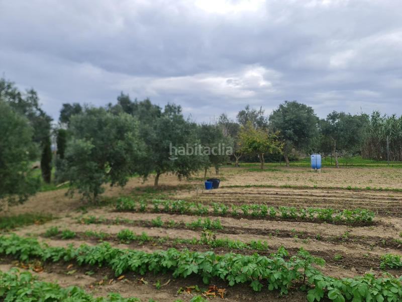 Foto 29cf8de7-2817-4b34-b378-09f5842bfc10. Haus in Pelagatos - Pago del Humo Chiclana de la Frontera