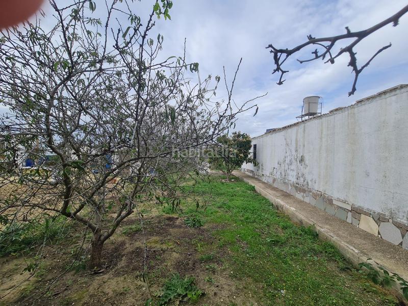 Foto 1433fab7-baf1-4f83-9218-51d5047616eb. House in Pelagatos - Pago del Humo Chiclana de la Frontera