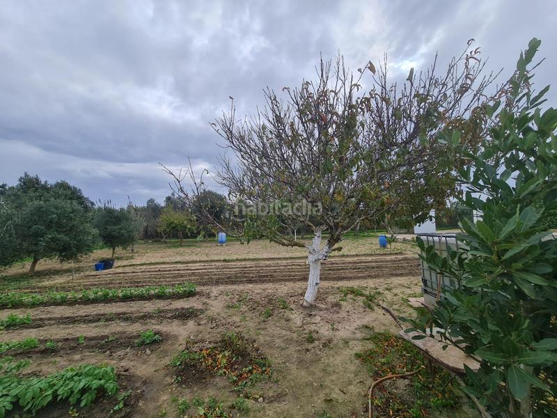 Foto 6b861b69-39ca-4274-aa2c-93b146f5b542. House in Pelagatos - Pago del Humo Chiclana de la Frontera