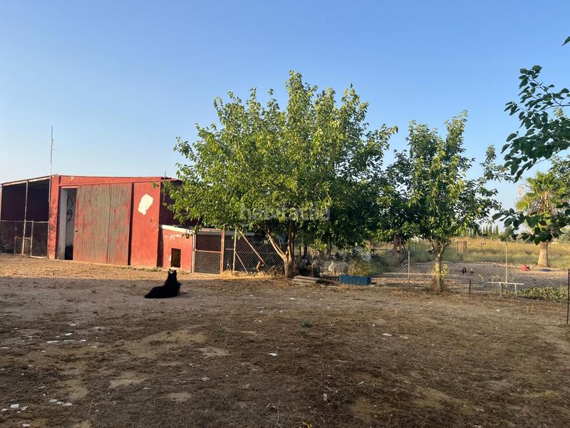 Foto 8697c119-c567-4b78-808c-8f22011aa048. Chalet con riscaldamento parcheggio piscina in Carmona