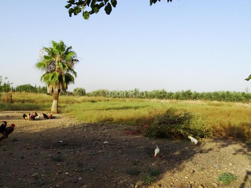 Foto aa2399cb-5a25-44f2-809b-d61fe047a1f1. Chalet con riscaldamento parcheggio piscina in Carmona