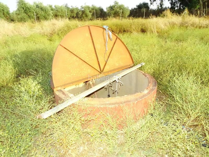 Foto df54ddb6-f25c-4521-9067-b2d5095ece83. Chalet con riscaldamento parcheggio piscina in Carmona