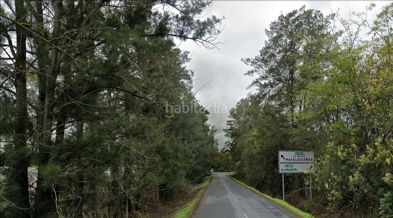 Foto 14624453-3ccd-4b4a-8256-1cb87ce6467c. Finca rústica  2,5 ha en Almonte Almonte