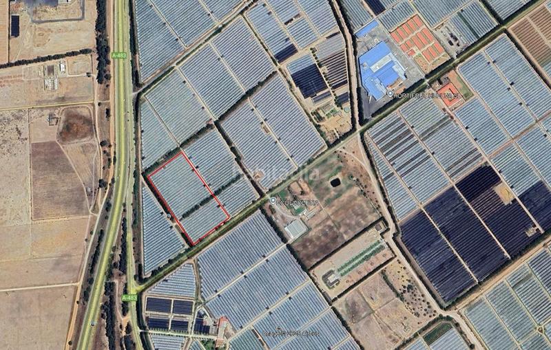 Foto 193f54db-fcb3-44d1-95bb-257aaabdab69. Finca rústica  2,5 ha en Almonte Almonte