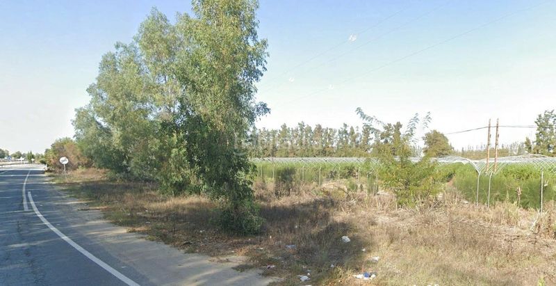 Foto 1ba43bfb-d74d-480a-83b4-e8f8e3ed820e. Finca rústica a Almonte Almonte