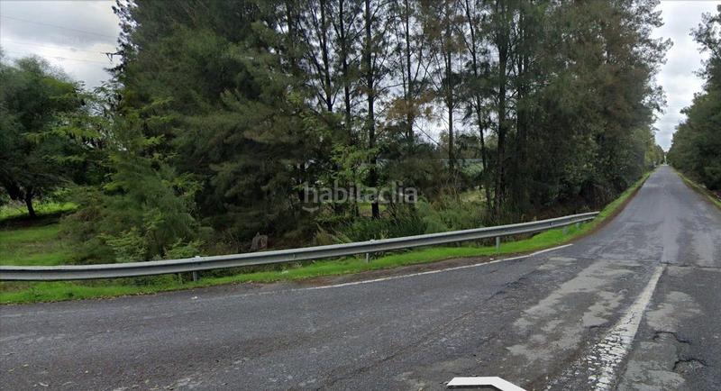 Foto 35348d70-6903-4687-a25e-6eff73a86795. Finca rústica  2,5 ha en Almonte Almonte