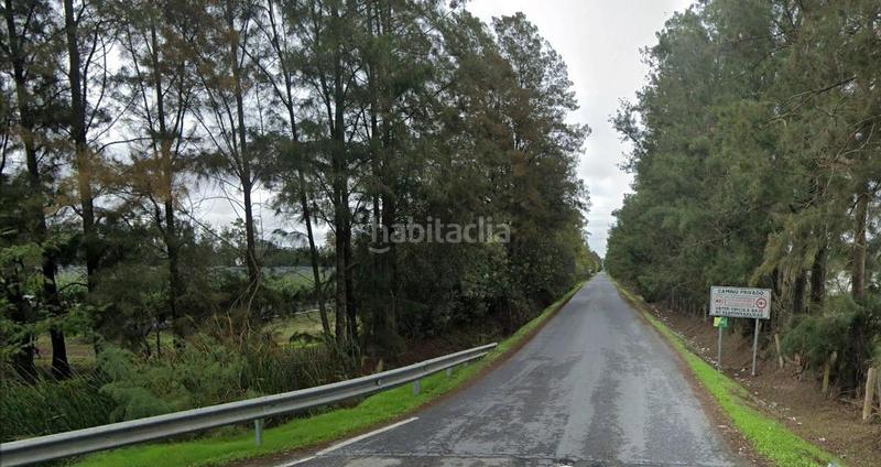 Foto 3560eba1-d8a3-4a73-a05d-ca89622aa364. Finca rústica  2,5 ha en Almonte Almonte