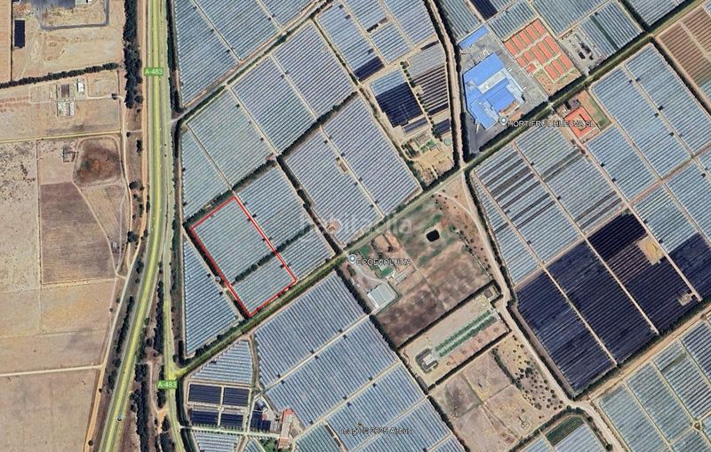 Foto 5883456e-6bfd-4b28-887b-a094215035d9. Finca rústica a Almonte Almonte