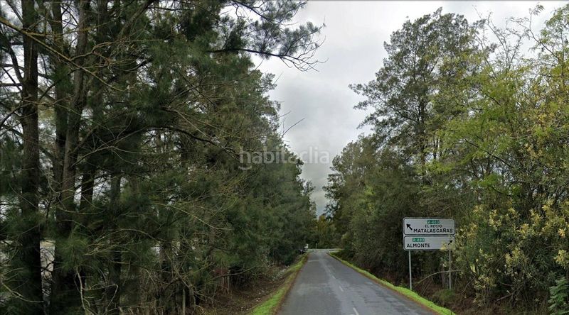 Foto 8d026d46-5ce9-4b39-b361-927cd8cacb41. Finca rústica a Almonte Almonte