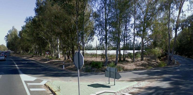 Foto 8f264f90-4793-4913-af37-0b2eeceaa3b1. Finca rústica  2,5 ha en Almonte Almonte