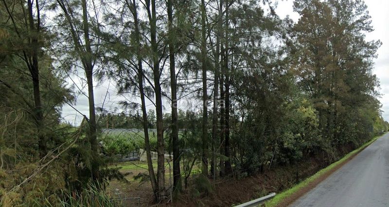 Foto 9d43b3bb-efca-46cf-9272-c69eb8081a6f. Finca rústica a Almonte Almonte